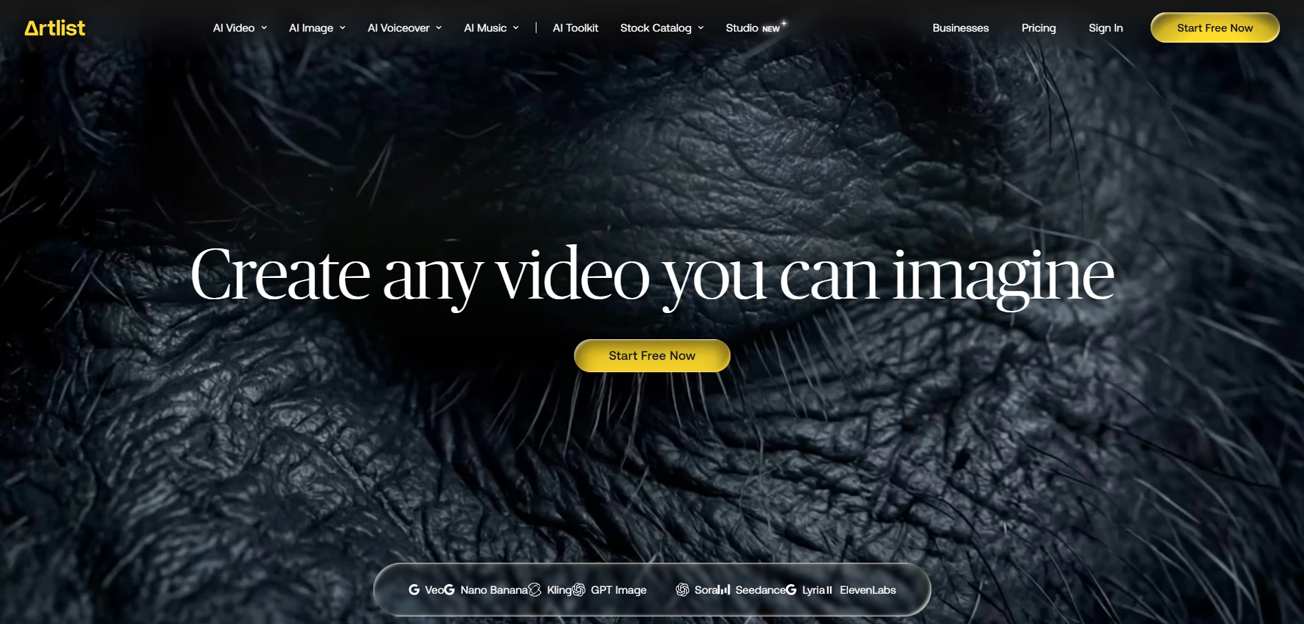 artlist homepage