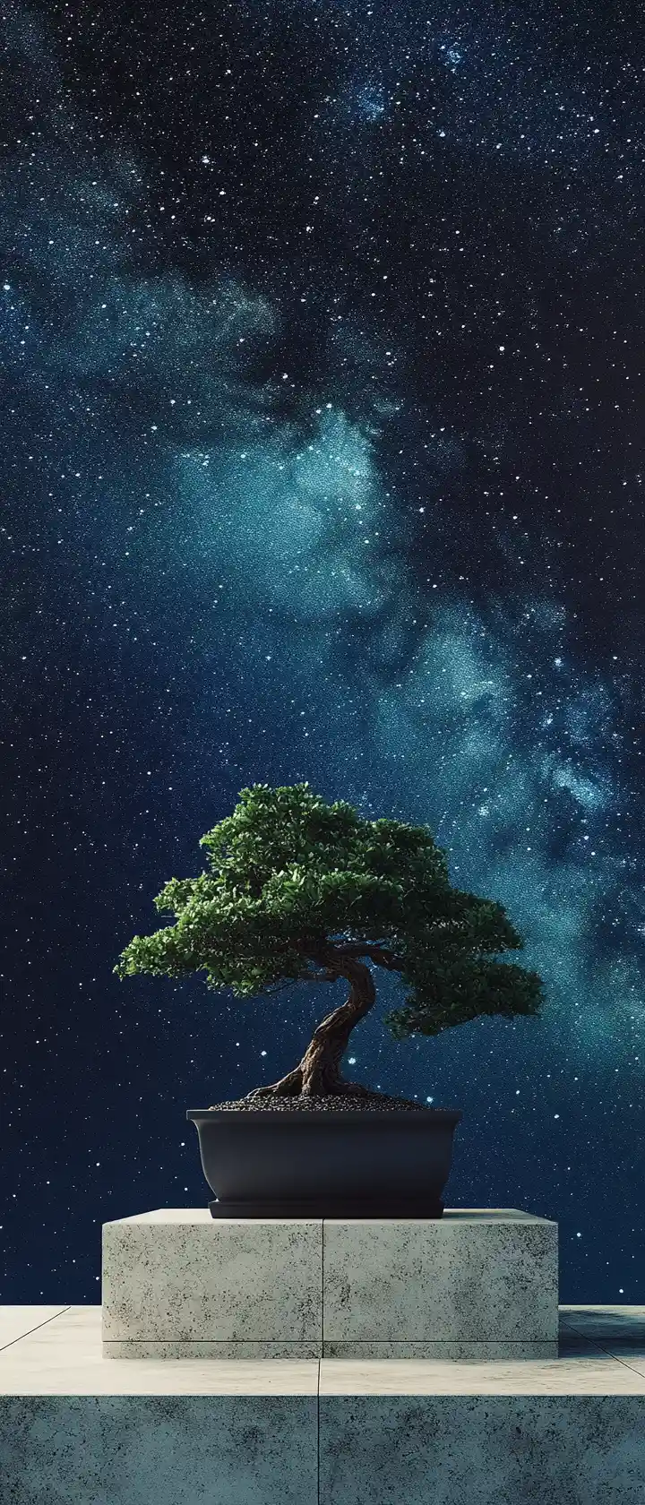 Minimalist rooftop bonsai garden beneath a starry night sky