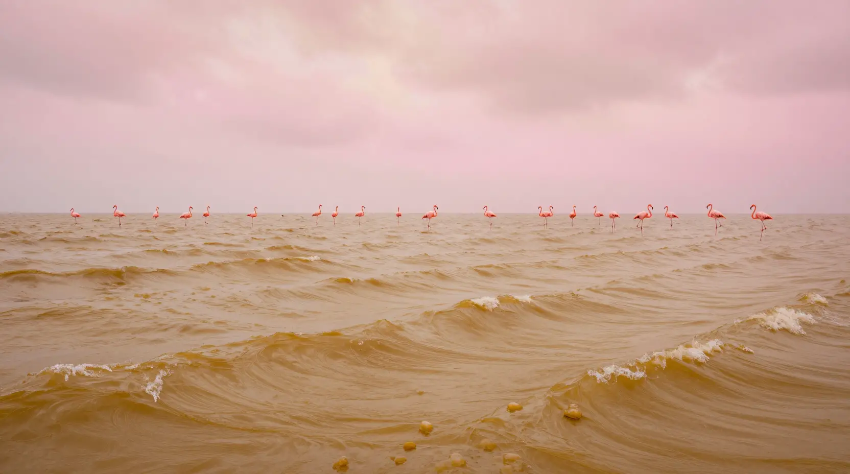 Abstract fantasy reefs in soft pink and golden hues