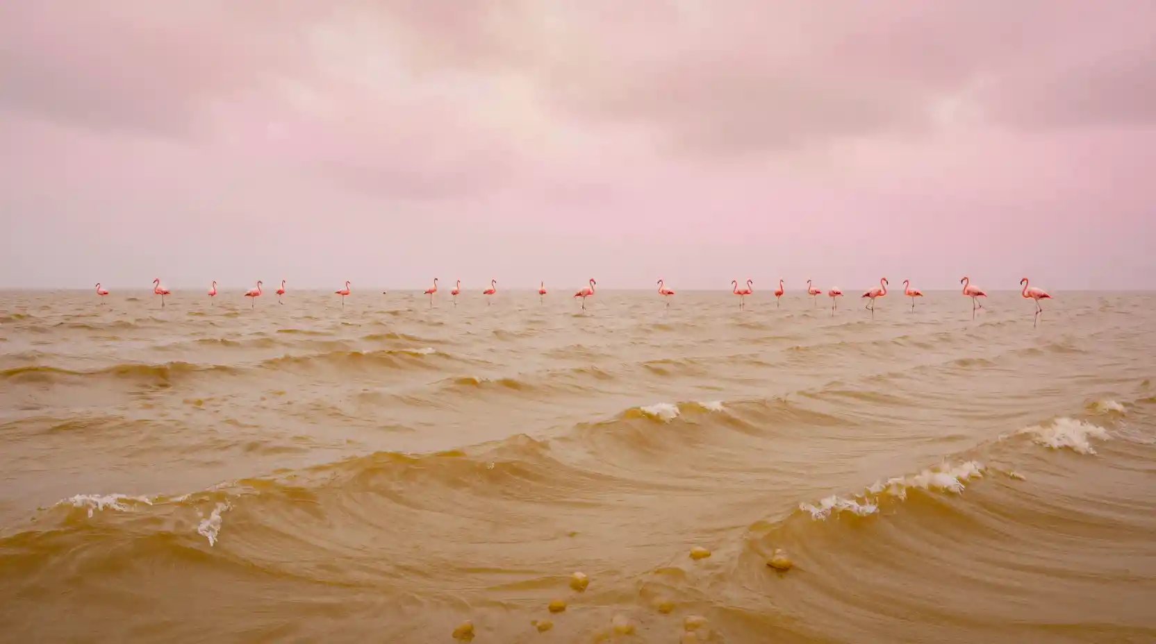 Abstract fantasy reefs in soft pink and golden hues