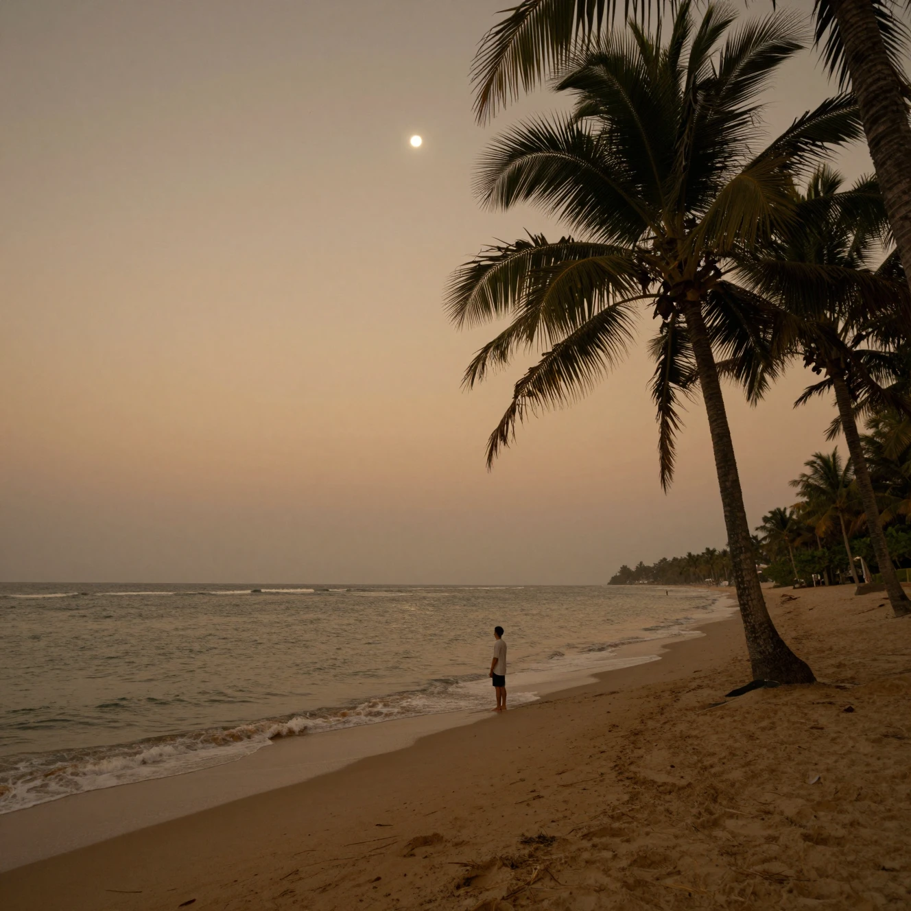 Lone figure on a moonlit beach at tranquil dusk