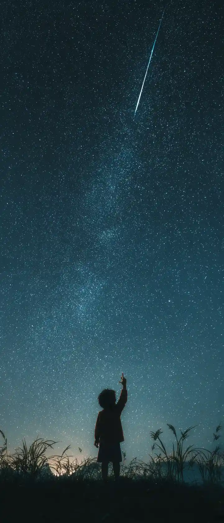 夜空でひとつだけ流れる流れ星に手を伸ばす子ども
