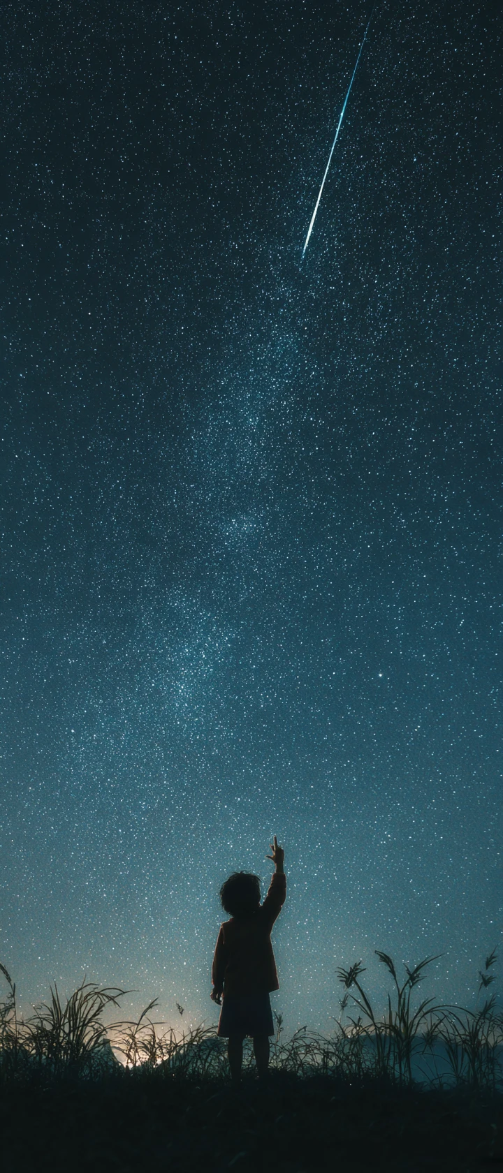 夜空でひとつだけ流れる流れ星に手を伸ばす子ども