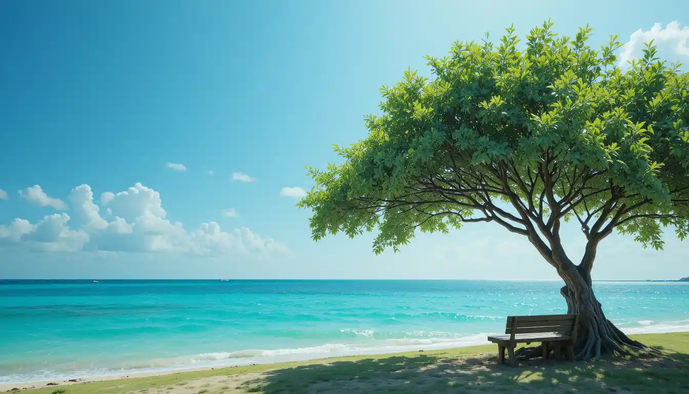 Einsamer Baum und Bank mit Blick auf ein ruhiges türkisfarbenes Meer