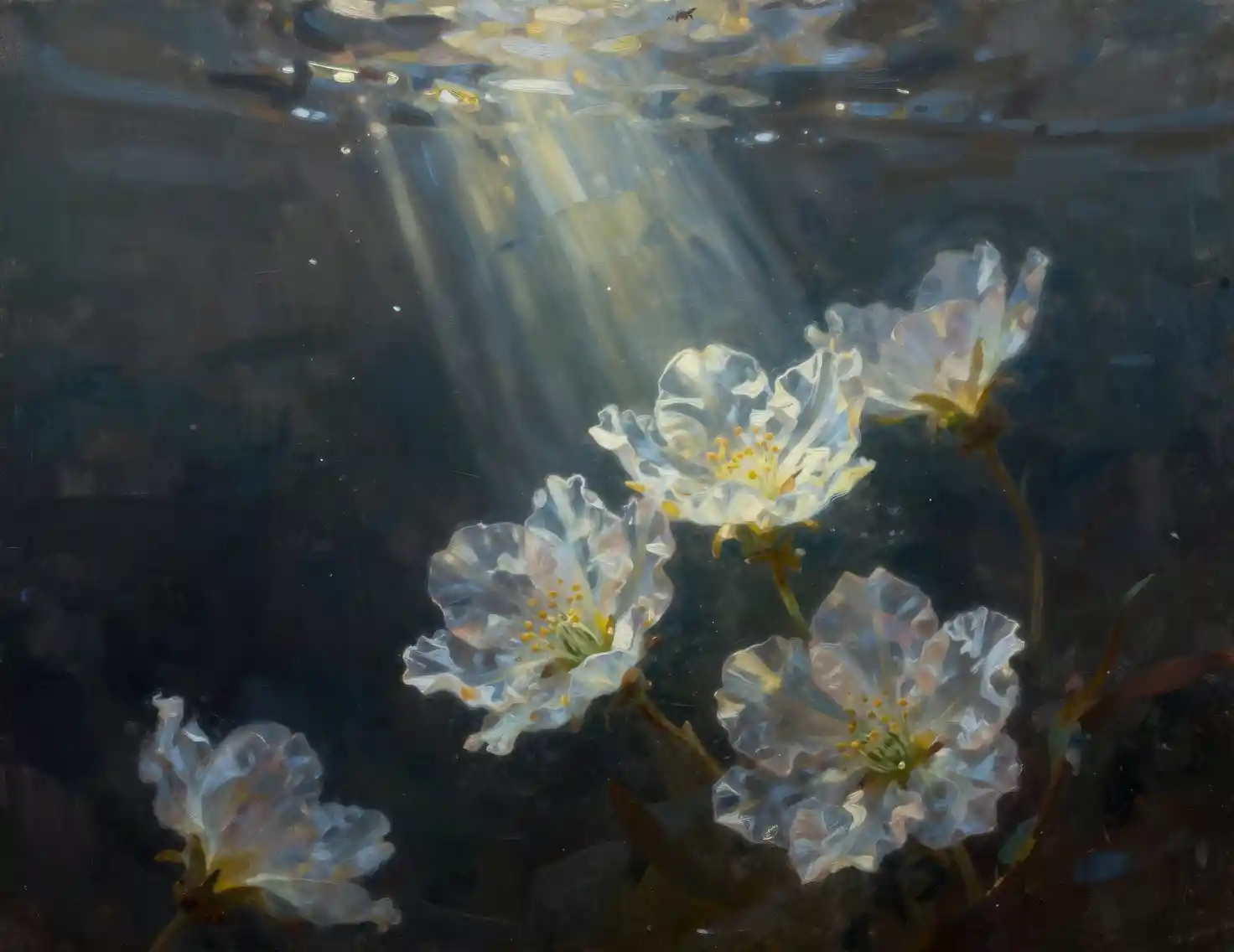 Fleurs translucides dérivant dans une lumière sous-marine sombre