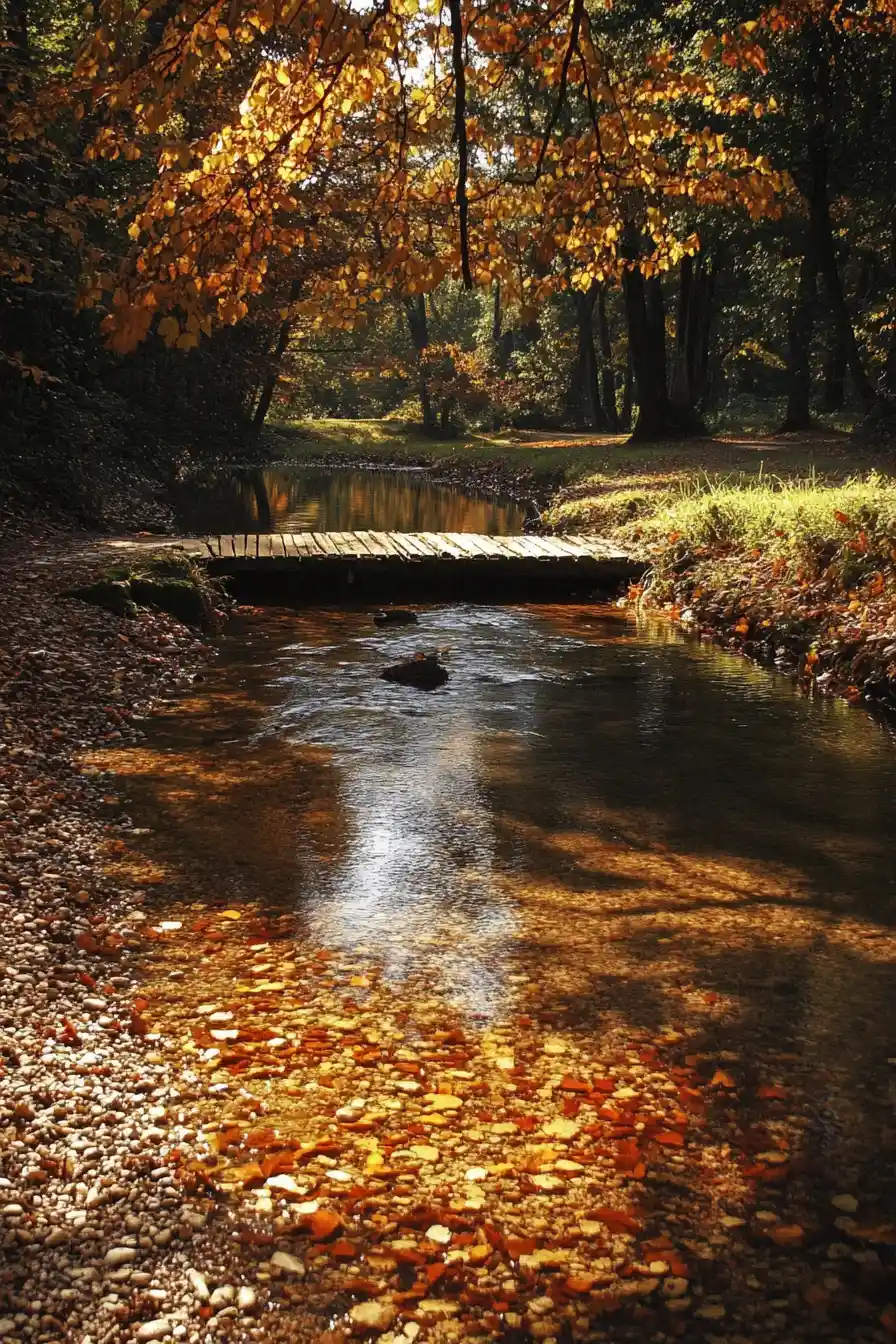 Alberi autunnali che si arcuano sopra un ruscello tranquillo e un ponte di legno