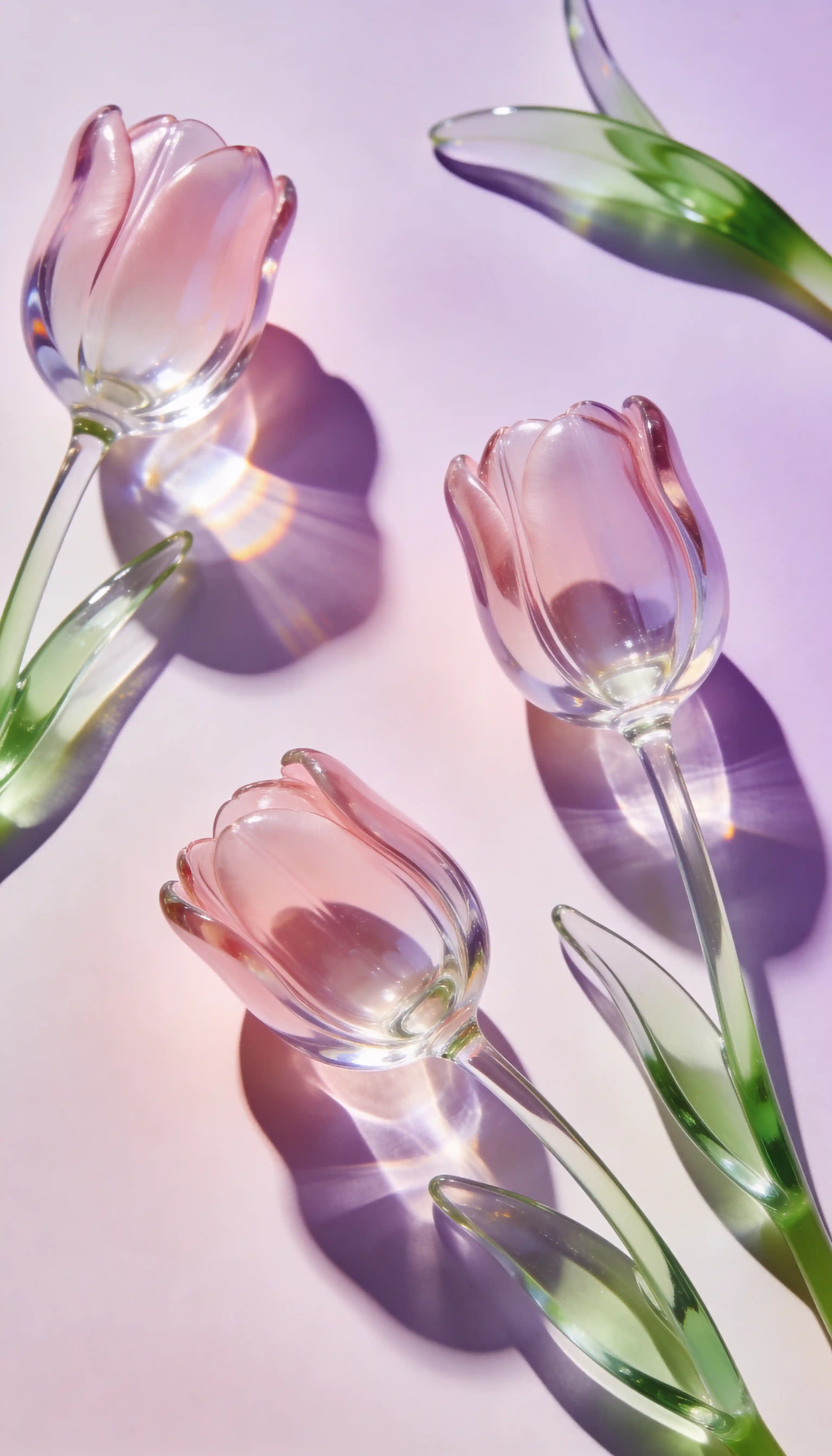 Transluzente Glas-Tulpen in zartem Pastellrosa und Grün