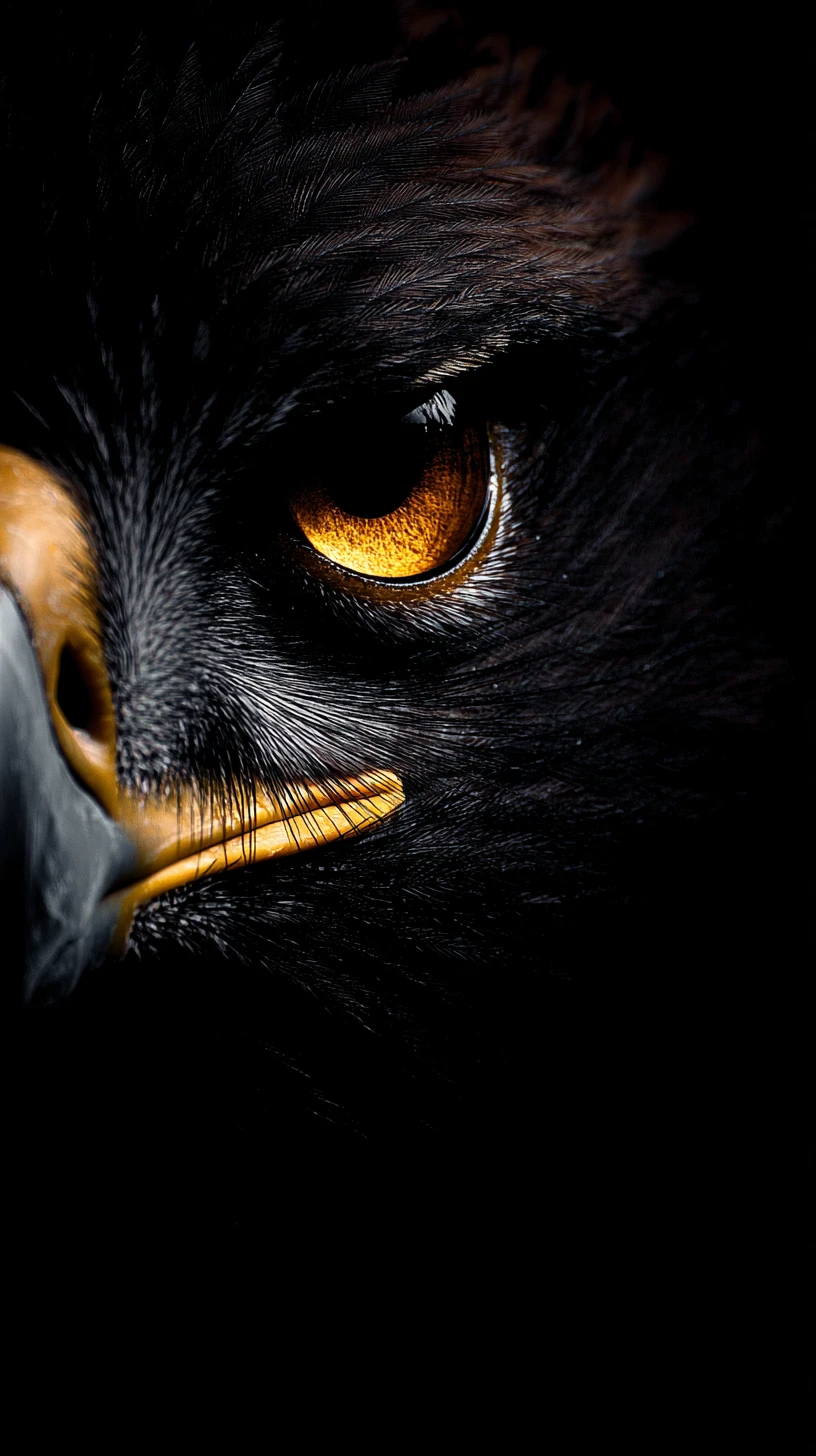 Dramatic extreme close up of a sharp eagle eye