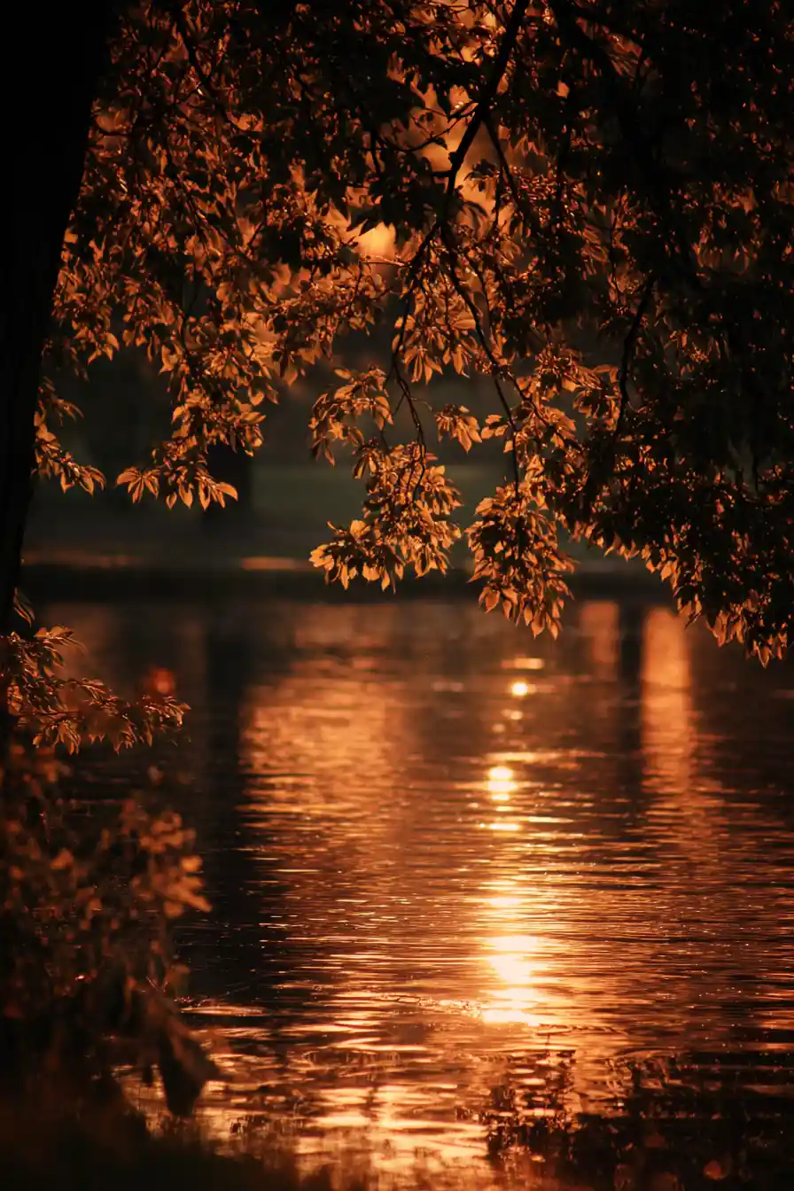 Young woman remembering a golden summer afternoon