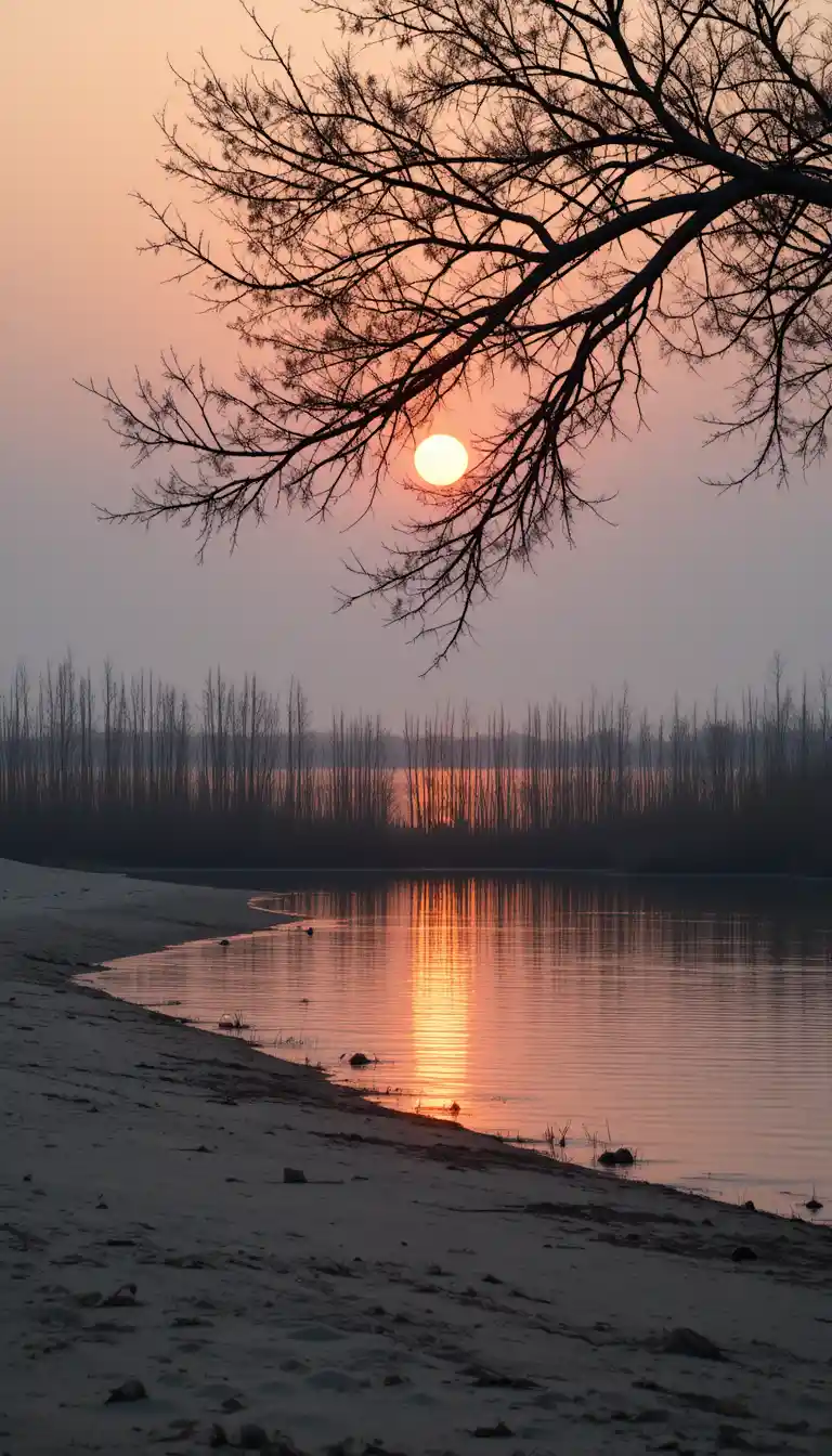 Amanecer tranquilo sobre juncos y agua con ramas colgantes