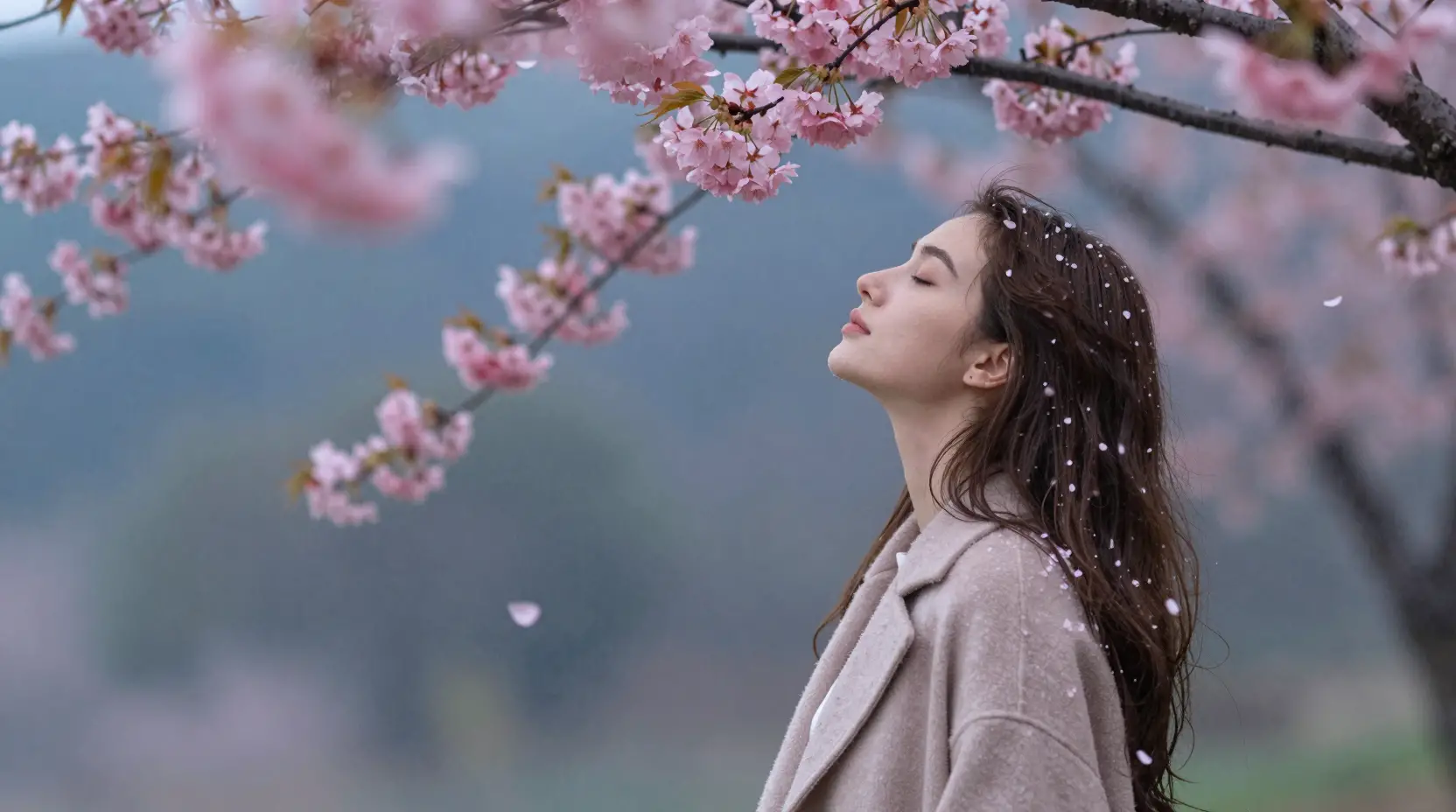 Young woman in spring rain with falling cherry blossoms