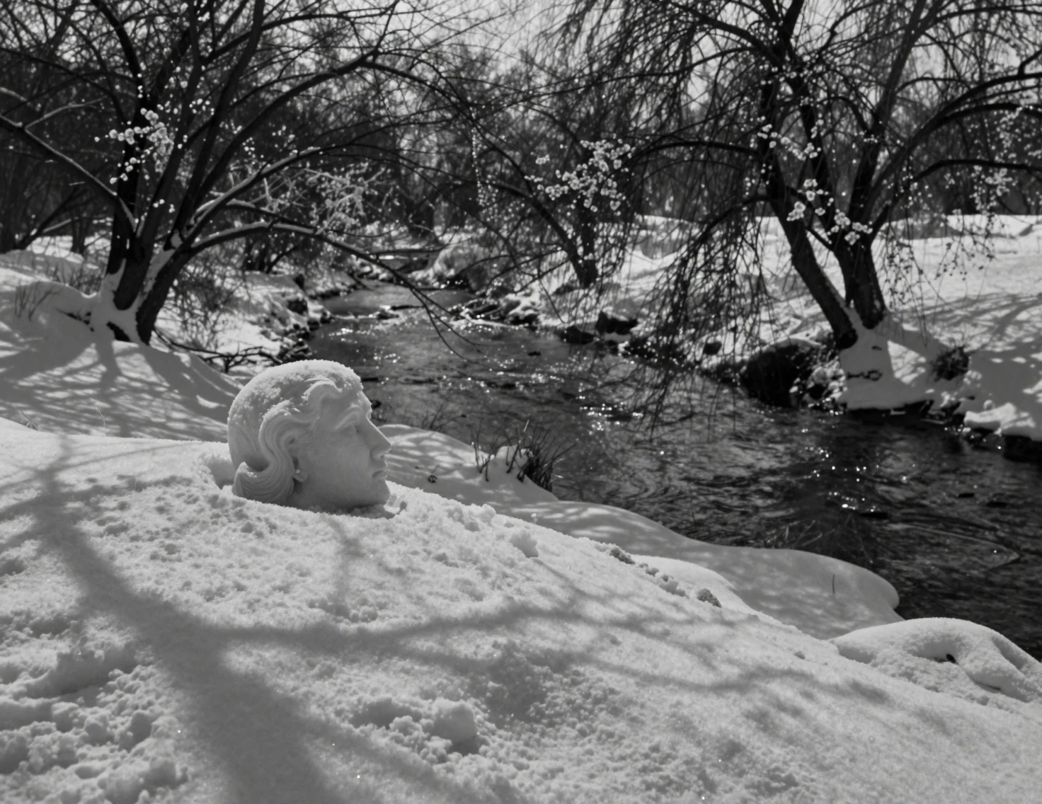 Serene overhead view of a mysterious winter landscape