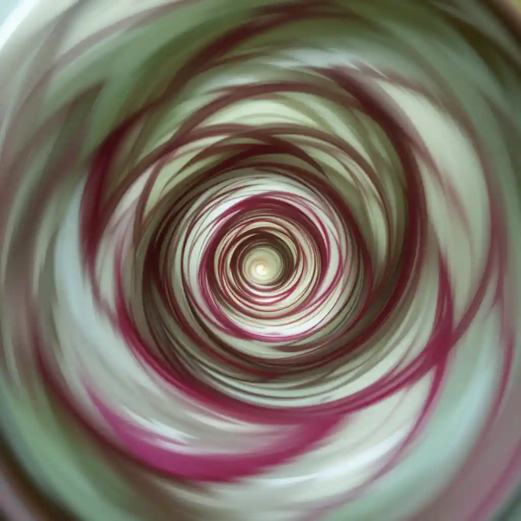 Spiral vortex view of a phalaenopsis orchid in motion