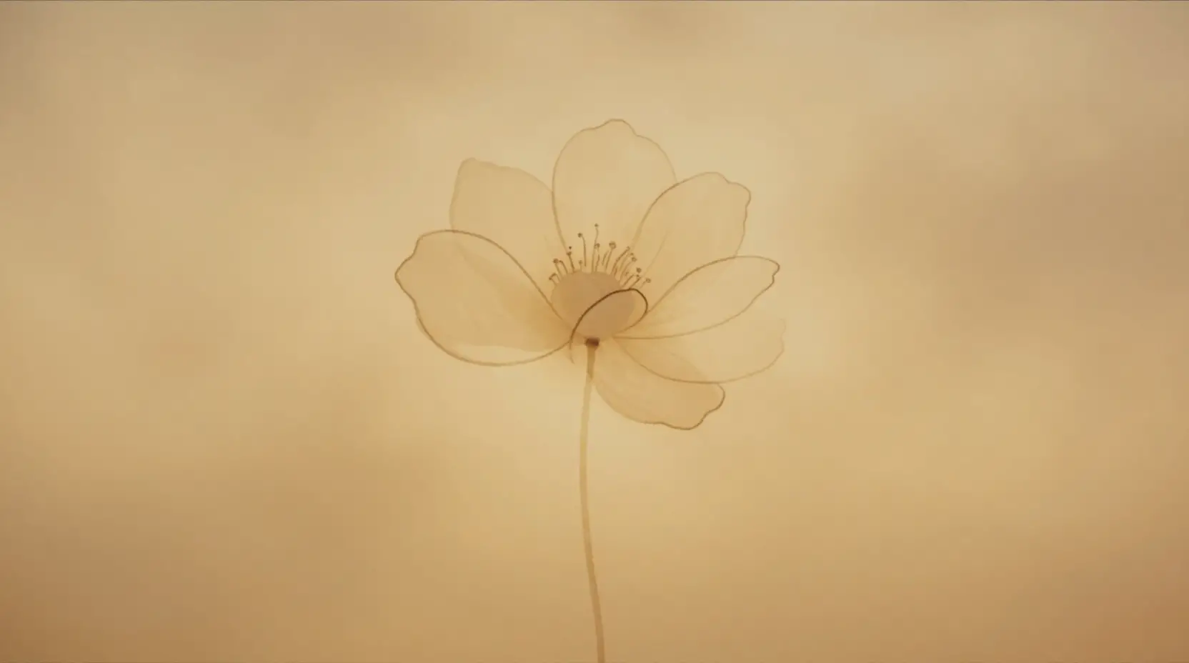Delicate ink flower outline with soft ochre watercolor bloom