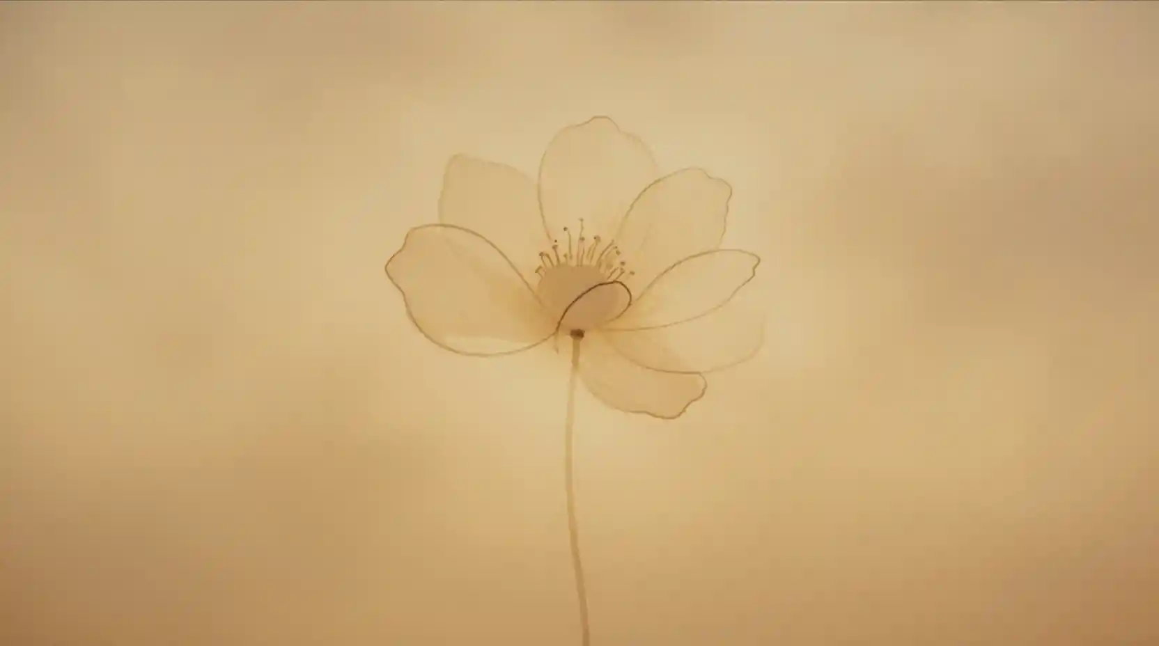Delicate ink flower outline with soft ochre watercolor bloom