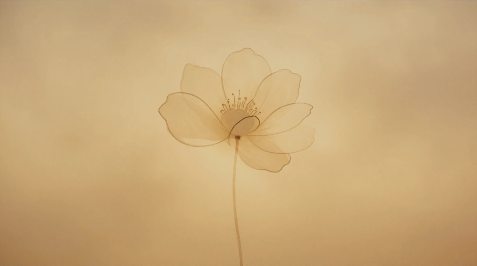 Delicado contorno de flor a tinta con suave flor en acuarela ocre