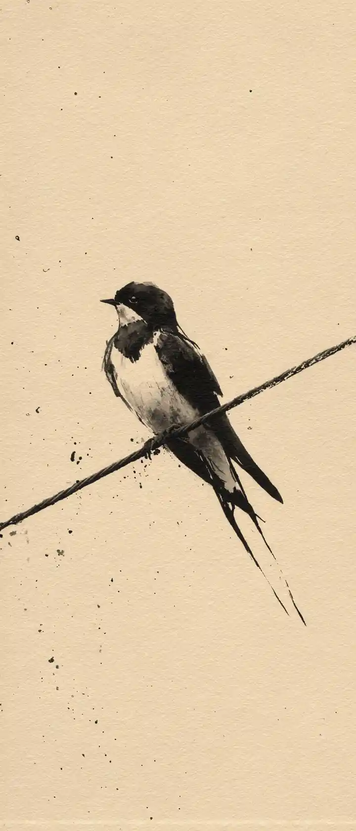 Small bird on long inked wire in minimal space