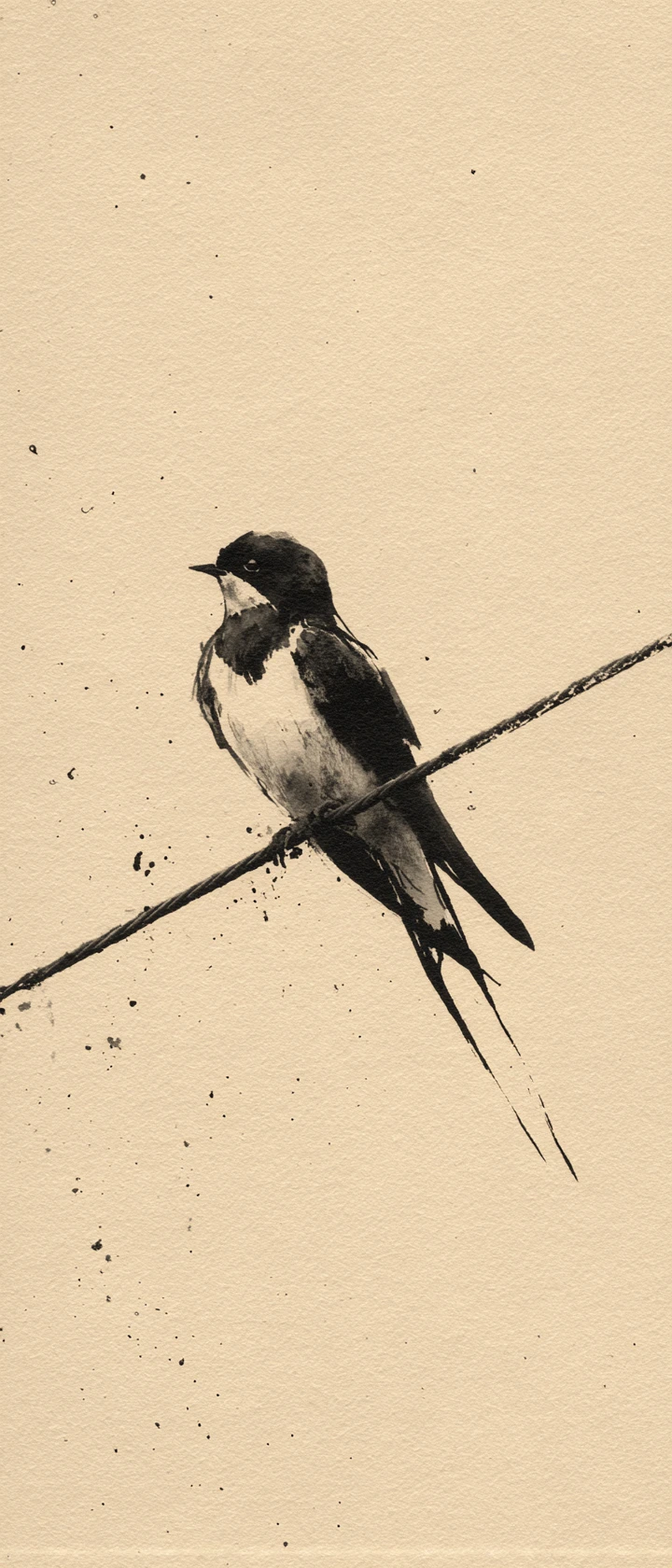 Small bird on long inked wire in minimal space