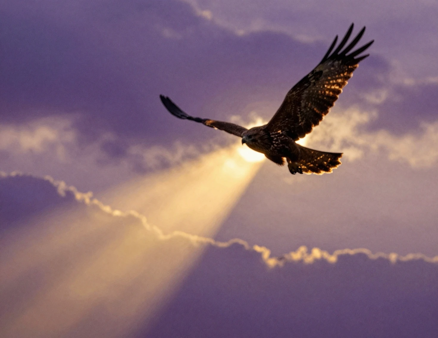 Majestuoso halcón surcando un dramático cielo crepuscular