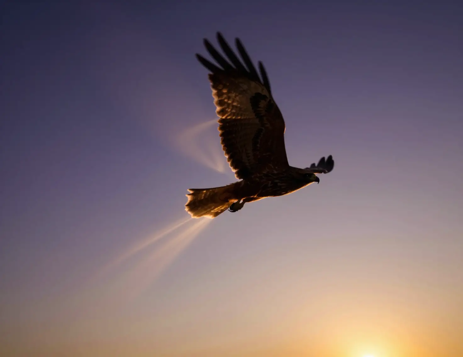 Majestic hawk in low angle view against twilight sky