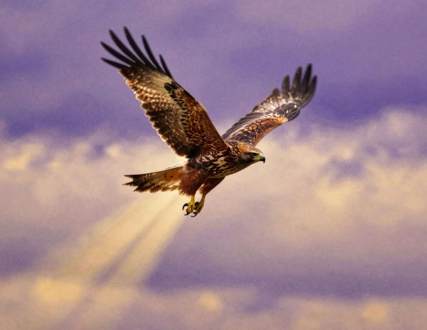 Majestic hawk soaring through twilight sky with motion blur
