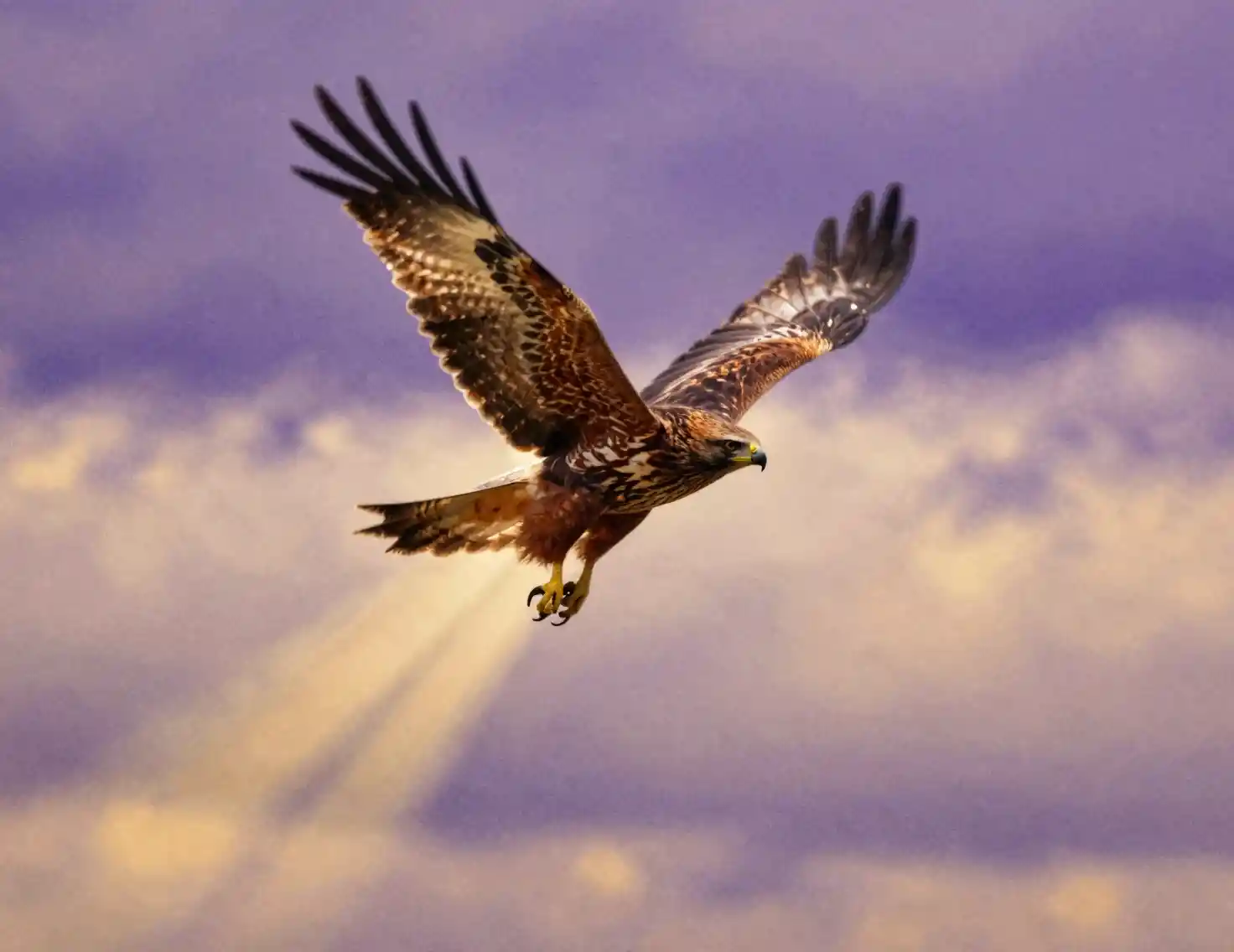 Majestic hawk soaring through twilight sky with motion blur