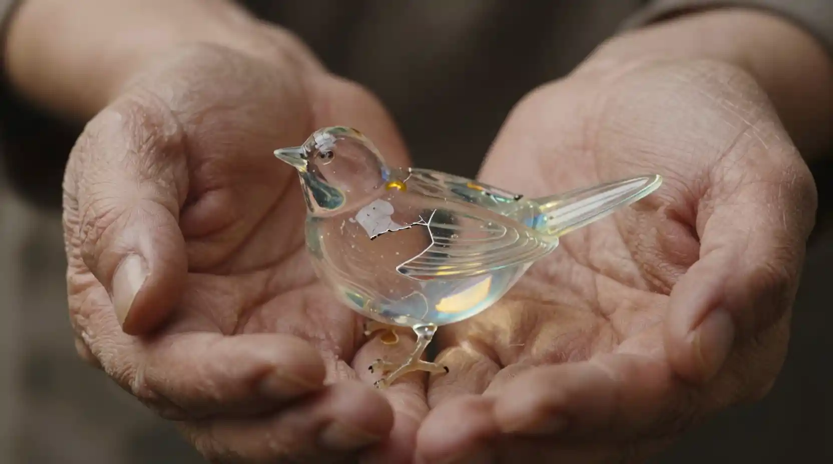 Aged hands cradling a fragile fractured glass bird