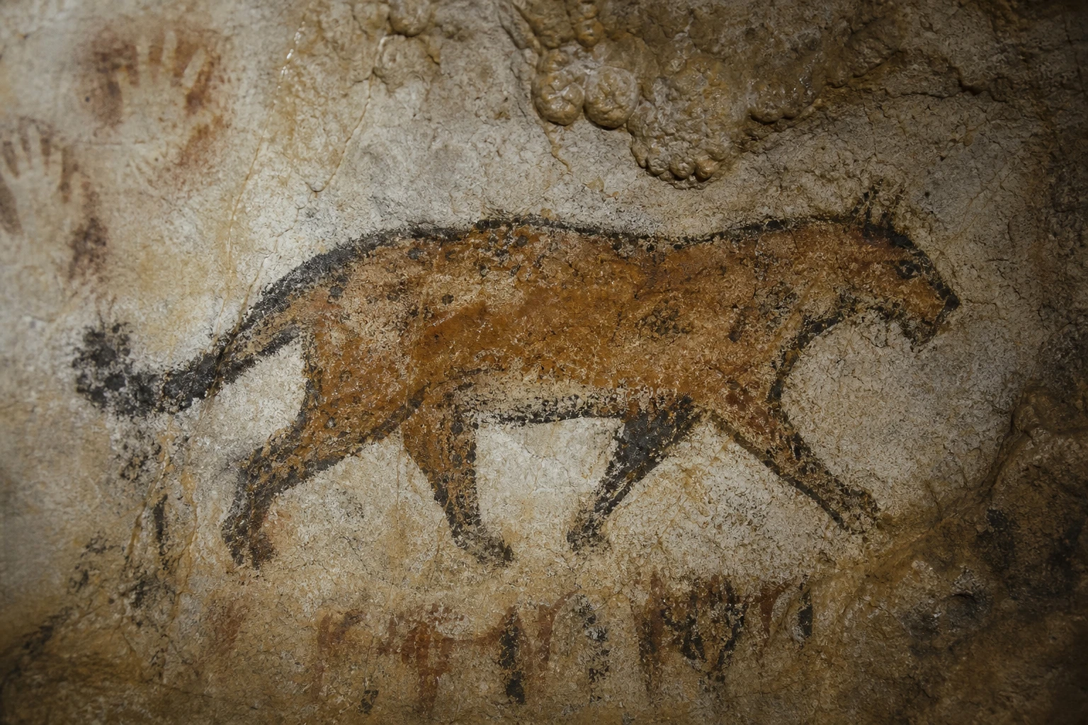 Prehistoric cave painting of a wildcat on limestone wall