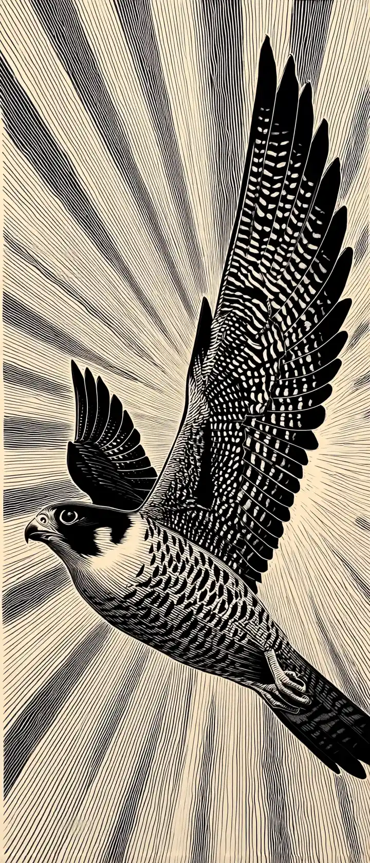 Peregrine falcon diving in bold black linocut print