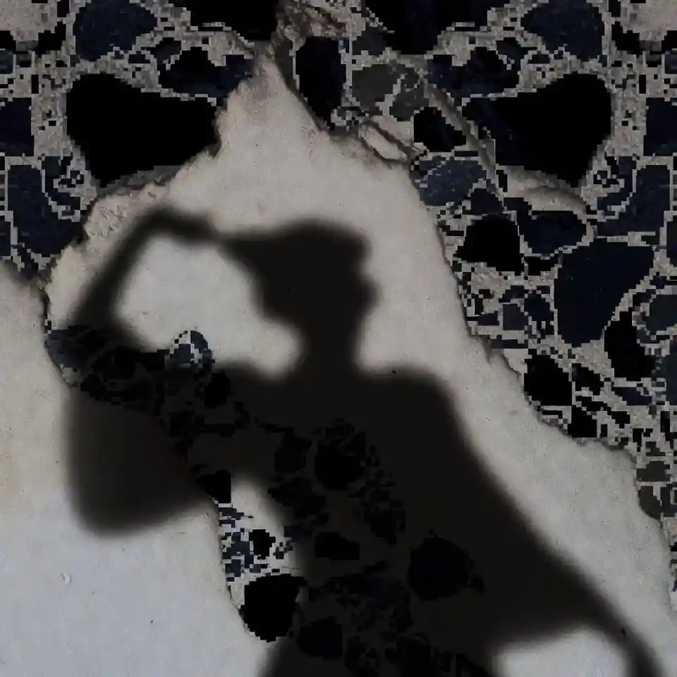 Pixelated shadow silhouette cast across an abstract wall