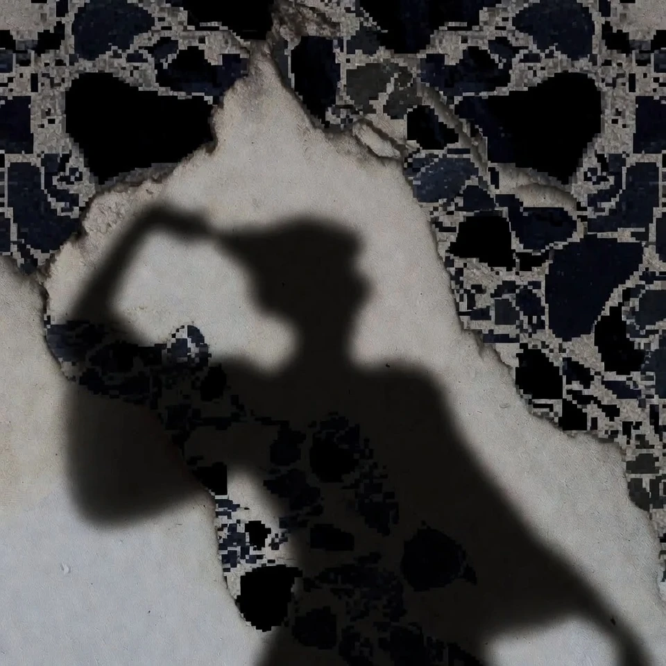 Pixelated shadow silhouette cast across an abstract wall