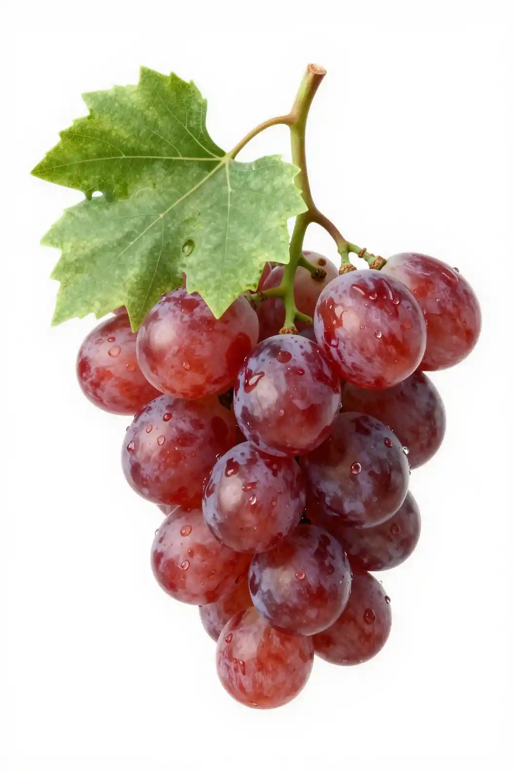Close up 3D red grapes with water droplets on white