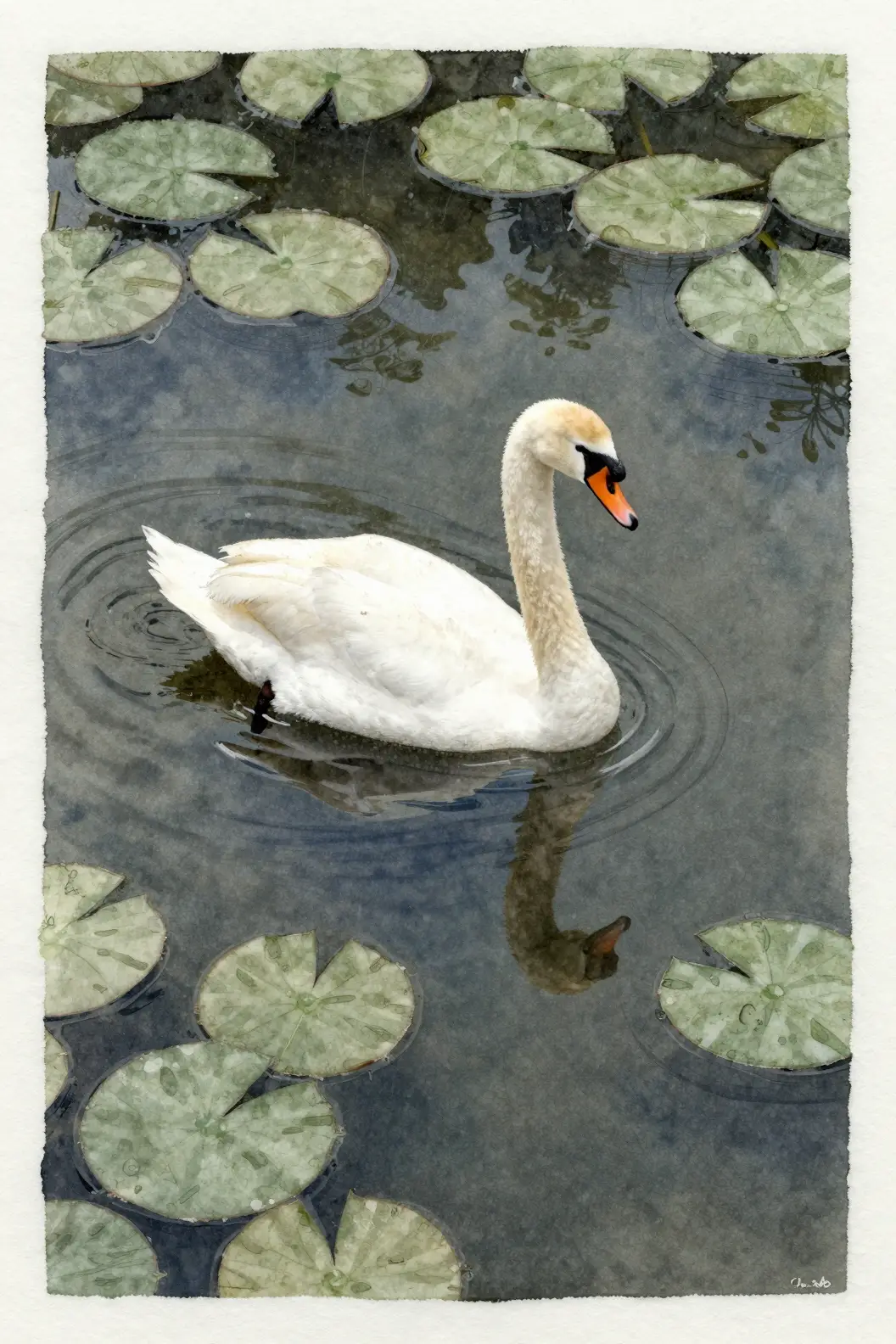 Weißer Schwan gleitet über dunklen Teich mit Seerosen
