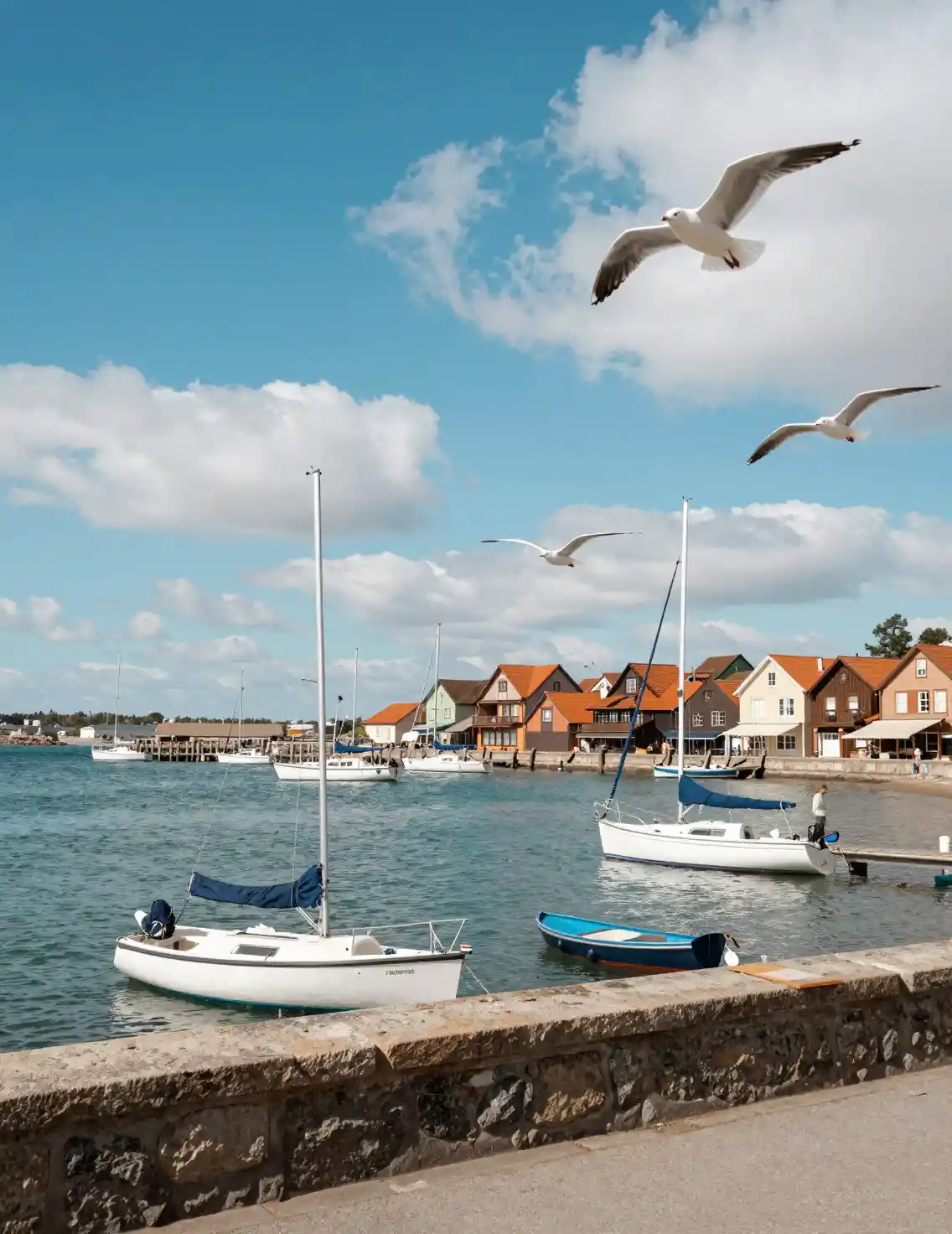 Sunny seaside harbor with sailboats and circling seagulls