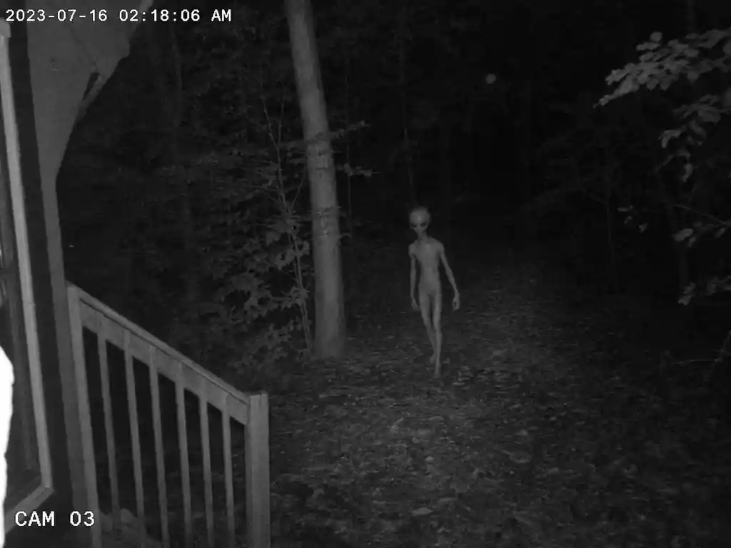 Alien figure caught on black and white forest surveillance frame