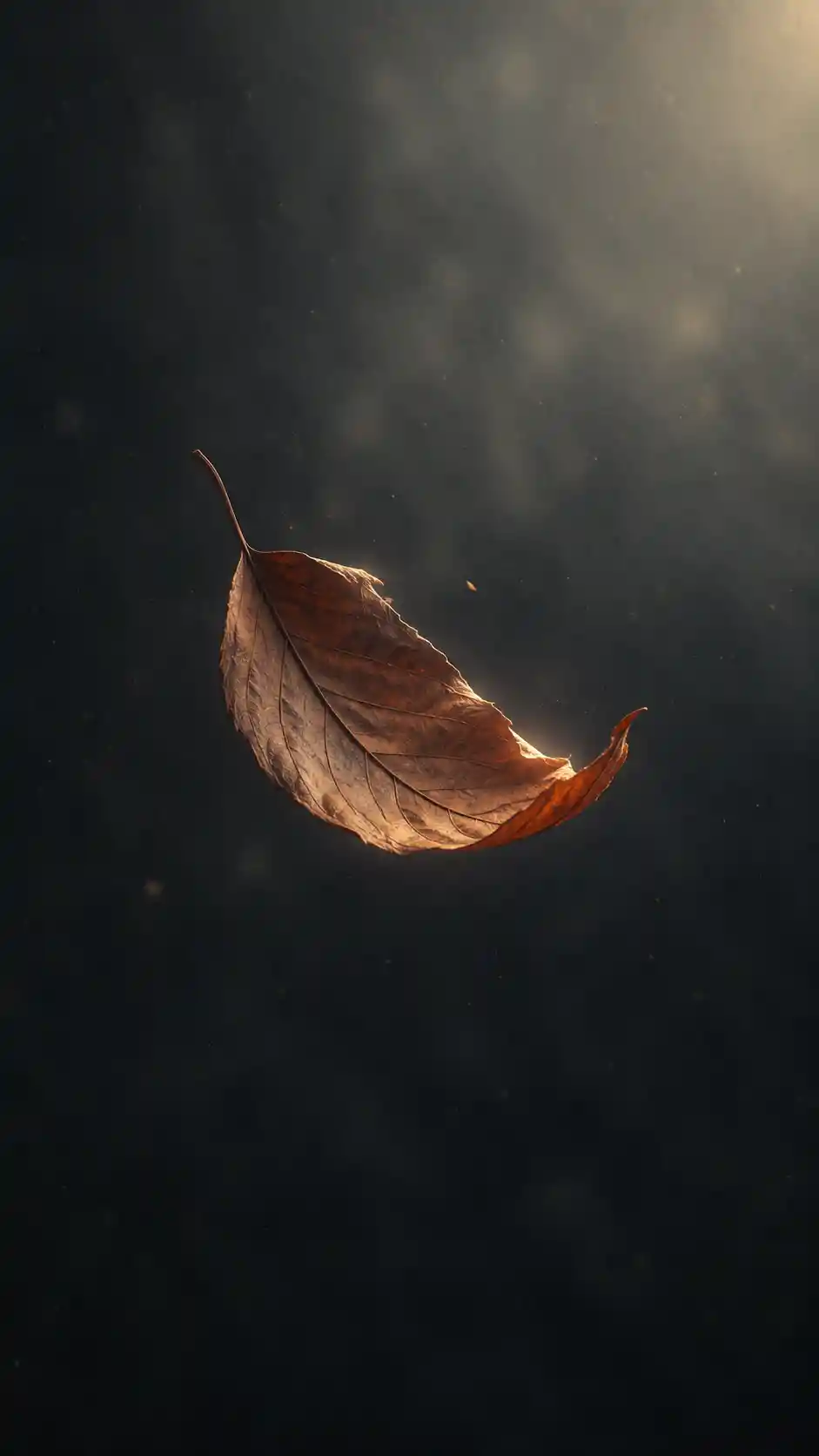 Hoja solitaria flotando en suave brisa sobre fondo oscuro