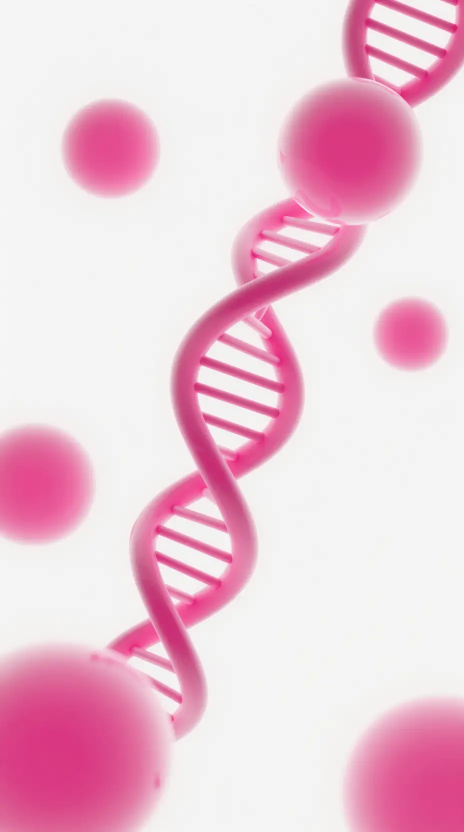 Transluzente rosa Sphären in minimalistischem abstraktem Weißraum