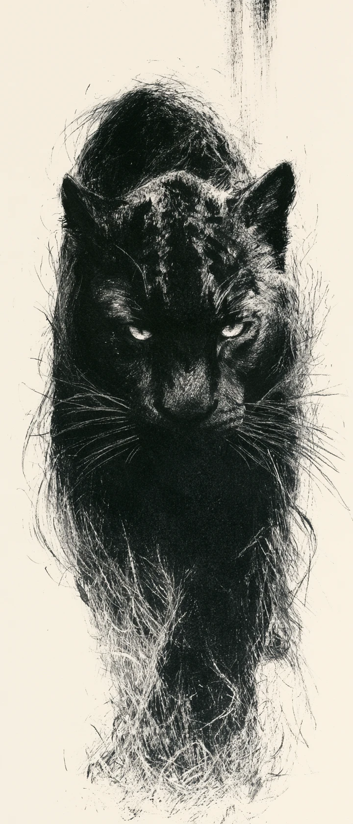 Desenho em tinta de alto contraste de um rosto feroz de tigre negro