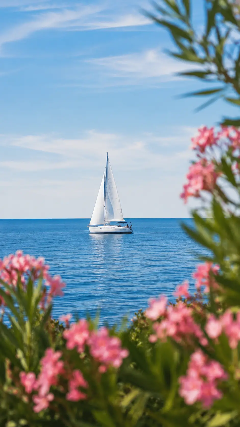Voilier blanc sur mer bleue calme encadré de fleurs délicates