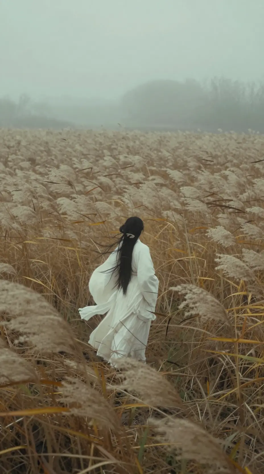 A silhouetted woman in white robes stands amid an autumn reed marsh