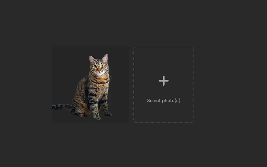 pixlr background remover review