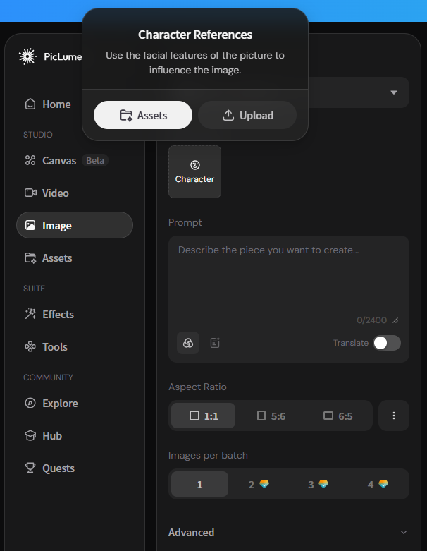 adding image reference in picluem
