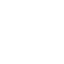 ecommerce icon