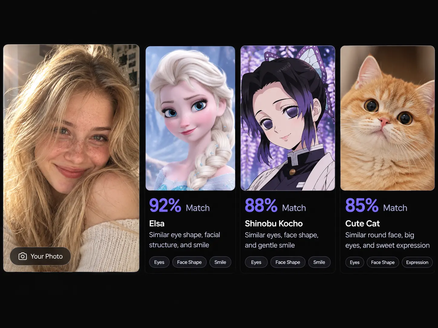 PicLumen celebrity look alike finder comparing a selfie with Elsa, Shinobu Kocho, and a cute orange cat using facial similarity scores