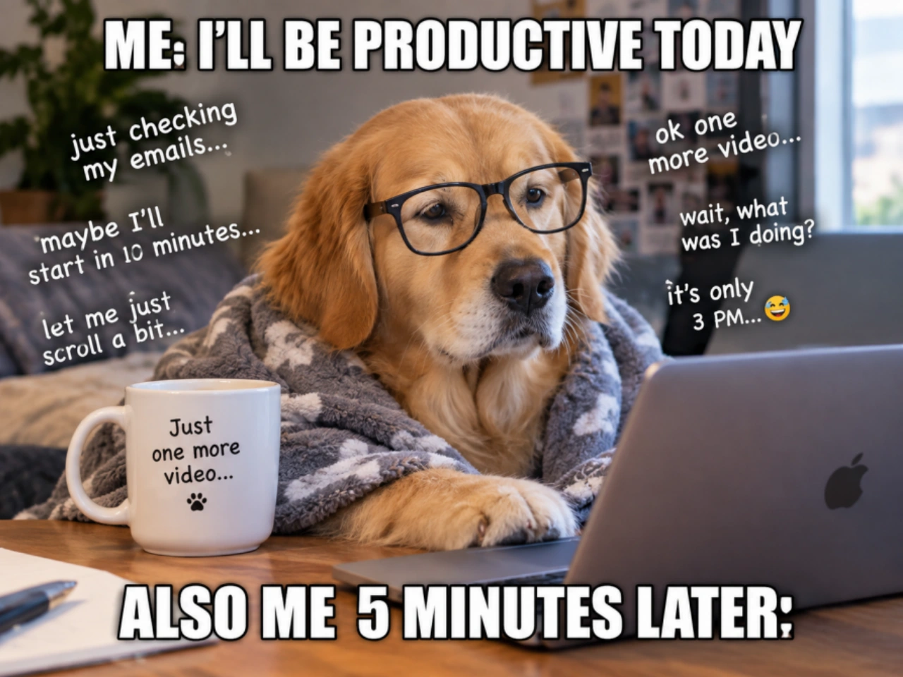 pet meme video