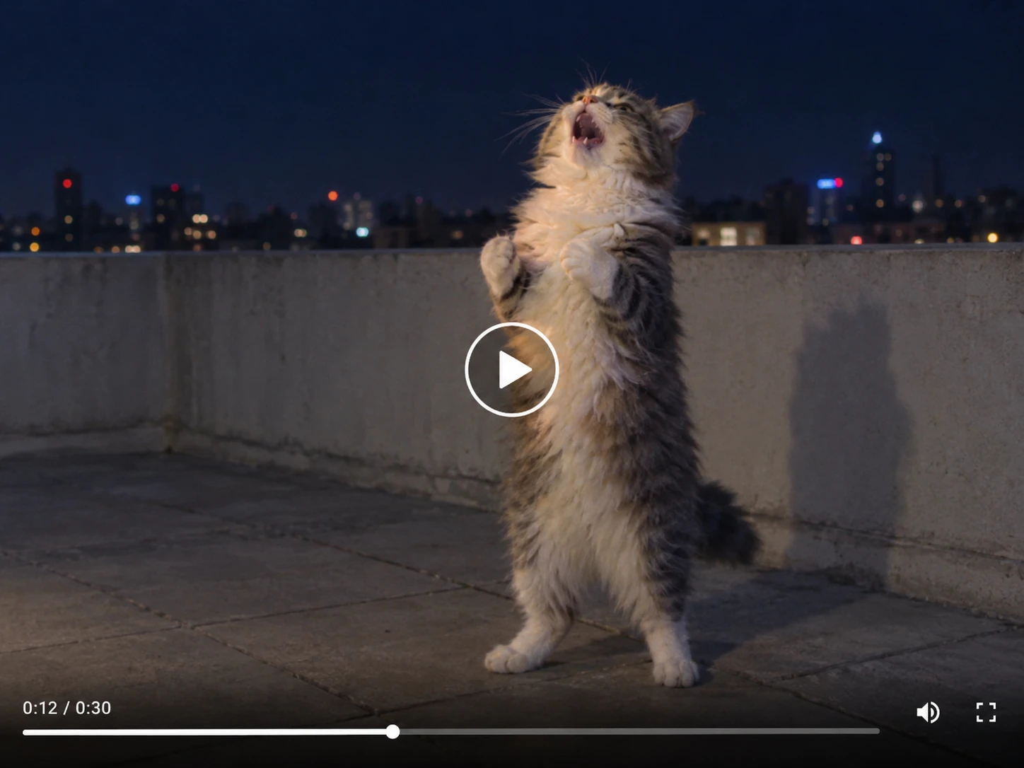 Un gato atigrado y esponjoso, de pie en una azotea por la noche, cantando dramáticamente con las patas levantadas y las luces de la ciudad al fondo.