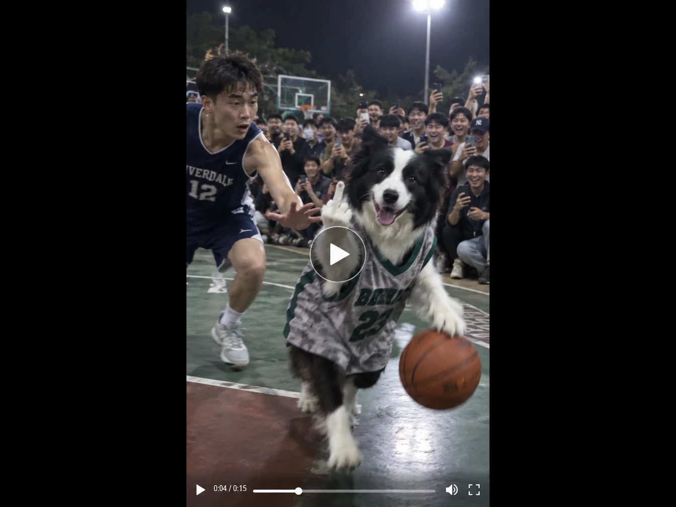 Hilarious and adorable action shot of a clever border collie dribbling a basketball on an outdoor court.